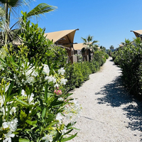 Luxe Tent Silver Village + : Het groene hart van de Village