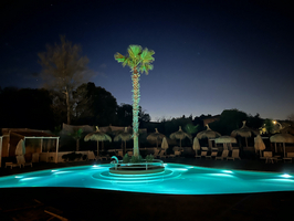 Villa Alwin Beach Resort Zwembad : Palmboom verlicht s'avonds
