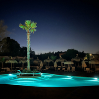 Villa Alwin Beach Resort Zwembad : Palmboom verlicht s'avonds
