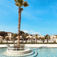Villa Alwin Beach Resort Zwembad : Palmboom met zitje rondom, massagestraal en waterval